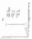 Fig. 02 - Peptides