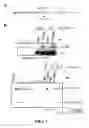 Fig. 02 - Nonsense-mediated mrna decay