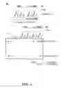 Fig. 06 - Nonsense-mediated mrna decay