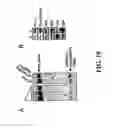 Fig. 22 - Nonsense-mediated mrna decay