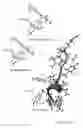Fig. 02 - Use of cyclolignans and new cyclolignans