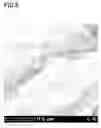 Fig. 06 - Carbon-based material and method of producing the same, and composite material and method of producing the same