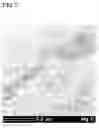 Fig. 08 - Carbon-based material and method of producing the same, and composite material and method of producing the same
