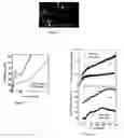 Fig. 02 - Nanostructure composites