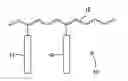 Fig. 01 - Graft copolymers and method to prepare same