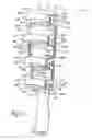 Fig. 08 - Method for fitting an orthopedic brace to the body