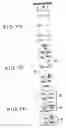 Fig. 07 - Sentence classification device and method