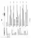 Fig. 15 - Domain expert search