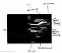Fig. 06 - Method and apparatus for generating visual images based on musical compositions