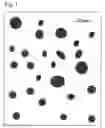Fig. 02 - Thermosetting resin composition