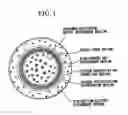 Fig. 02 - Silicon wafer, SOI substrate, method for growing silicon single crystal, method for manufacturing silicon wafer, and method for manufacturing SOI substrate