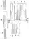 Fig. 02 - Organic light-emitting panel, package process for organic light-emitting panel and coating apparatus thereof