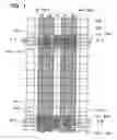 Fig. 02 - Semiconductor integrated circuit, layout method, layout apparatus and layout program