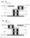 Fig. 08 - Semiconductor integrated circuit, layout method, layout apparatus and layout program