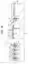 Fig. 33 - Semiconductor device and manufacturing method of the same