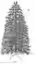 Fig. 02 - Christmas tree with visual effect of crystal ice