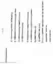 Fig. 09 - Method and apparatus for digital signal processing enhanced laser performance compensation