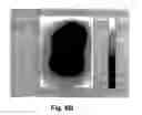 Fig. 08 - Relative calibration for dosimetric devices