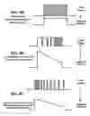 Fig. 09 - Image fixing apparatus using pulsating power for heating