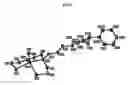 Fig. 06 - Small technetium-99m and rhenium labeled agents and methods for imaging tissues, organs and tumors