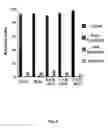 Fig. 09 - Cell permeable nanoconjugates of shell-crosslinked knedel (SCK) and peptide nucleic acids (“PNAs”) with uniquely expressed or over-expressed mRNA targeting sequences for early diagnosis and therapy of cancer