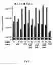 Fig. 10 - Cell permeable nanoconjugates of shell-crosslinked knedel (SCK) and peptide nucleic acids (“PNAs”) with uniquely expressed or over-expressed mRNA targeting sequences for early diagnosis and therapy of cancer