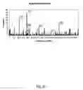 Fig. 23 - Cell permeable nanoconjugates of shell-crosslinked knedel (SCK) and peptide nucleic acids (“PNAs”) with uniquely expressed or over-expressed mRNA targeting sequences for early diagnosis and therapy of cancer