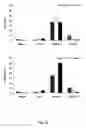 Fig. 33 - Cell permeable nanoconjugates of shell-crosslinked knedel (SCK) and peptide nucleic acids (“PNAs”) with uniquely expressed or over-expressed mRNA targeting sequences for early diagnosis and therapy of cancer