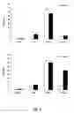 Fig. 34 - Cell permeable nanoconjugates of shell-crosslinked knedel (SCK) and peptide nucleic acids (“PNAs”) with uniquely expressed or over-expressed mRNA targeting sequences for early diagnosis and therapy of cancer