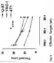 Fig. 05 - Stem cells for use in locating and targeting tumor cells