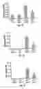 Fig. 07 - Method of preventing and treating airway remodeling and pulmonary inflammation using A2B adenosine receptor antagonists