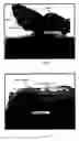 Fig. 06 - Tissue graft scaffold made from cholecyst-derived extracellular matrix