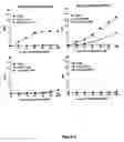 Fig. 07 - Modified bordetella adenylate cyclase comprising or lacking CD11b/CD18 interaction domain and uses thereof
