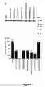 Fig. 09 - Modified bordetella adenylate cyclase comprising or lacking CD11b/CD18 interaction domain and uses thereof