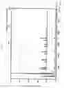 Fig. 07 - Silane polymer and method for forming silicon film