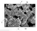 Fig. 01 - Fuel electrode for solid oxide fuel cell and solid oxide fuel cell suing the same