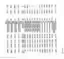 Fig. 1102 - Pharmacogenetic DME detection assay methods and kits