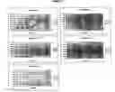 Fig. 303 - Pharmacogenetic DME detection assay methods and kits