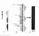 Fig. 366 - Pharmacogenetic DME detection assay methods and kits