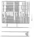 Fig. 656 - Pharmacogenetic DME detection assay methods and kits