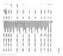 Fig. 717 - Pharmacogenetic DME detection assay methods and kits