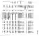 Fig. 719 - Pharmacogenetic DME detection assay methods and kits