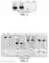 Fig. 02 - Avian sex determination method