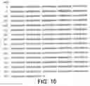 Fig. 07 - Avian sex determination method