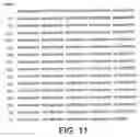 Fig. 08 - Avian sex determination method