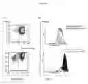 Fig. 15 - Method to measure a t cell response and its uses to qualify antigen-presenting cells