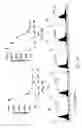 Fig. 09 - Methods for preventing and treating cancer using -thiolated β-lactam compounds and analogs thereof