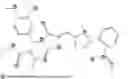 Fig. 717 - Transcription factor modulating compounds and methods of use thereof