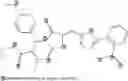 Fig. 746 - Transcription factor modulating compounds and methods of use thereof