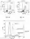 Fig. 02 - Method for selective targeting of apoptotic cells and small molecule ligands used thereof